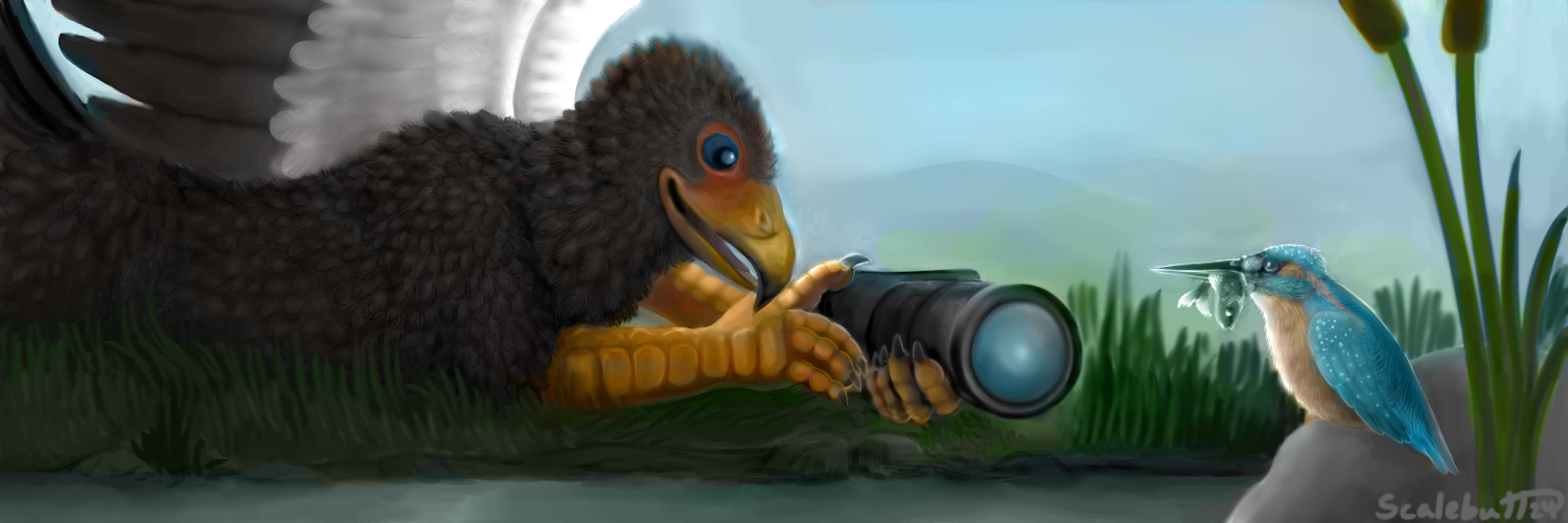Header Image